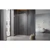Radaway 10103155-99-01 Essenza Pro Brushed Gold Walk-in 155