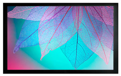 Экран Cactus CS-PSFRE-220X124