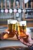 Estaminet Refined Lager beer