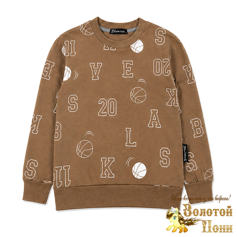 Свитшот хлопок м (3-7) 260916-BK1858T.5