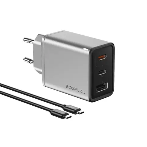 100 Вт кабелі бар EcoFlow RAPID 65 Вт GaN зарядтағышы
