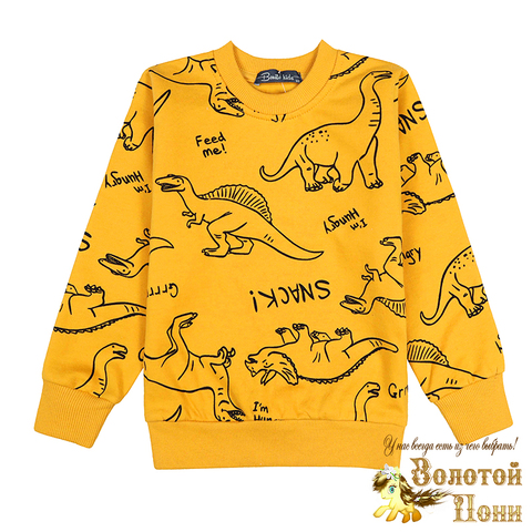 Свитшот хл/начес м (3-7) 260916-BK1518T.5