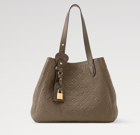 Сумка Louis Vuitton All In One PM