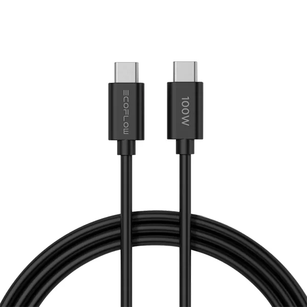 100 Вт кабелі бар EcoFlow RAPID 65 Вт GaN зарядтағышы