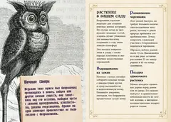 Маленький гримуар ведьмы