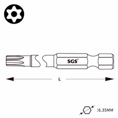 Бита T20H х110мм TORX TR (с отверстием) S2 1шт SGS 63110-TT20