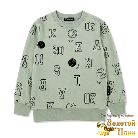 Свитшот хлопок м (3-7) 260916-BK1858T.1