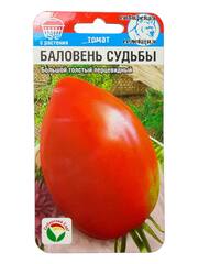 Томат Баловень судьбы (Сибирский Сад)