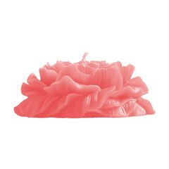 Fun Candle Свеча низкотемпературная Пион роз.