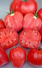 Семена Томат Абаканский розовый, 1,7 м, масса 500 гр, цв 20 сем
