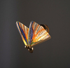 Бра The Fluttering Butterfly B — фото 4