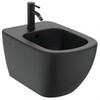 Ideal Standard Ceraline BC197XG Однорукоятковый смеситель для биде