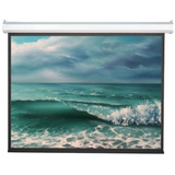 Экран Viewscreen Antis EAN-4305