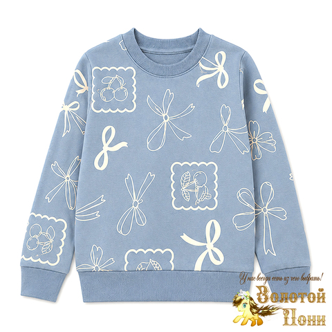 Свитшот хлопок д (3-7) 260916-BK1859T.2