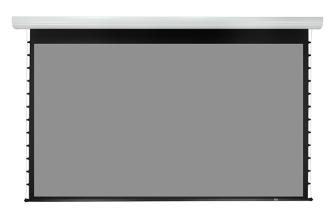 Экран с электроприводом Lumien Master Business Control — фото 3