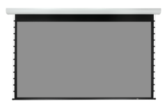 Экран с электроприводом Lumien Master Business Control — фото 3