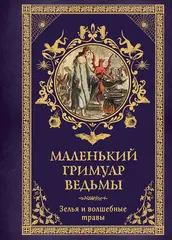 Маленький гримуар ведьмы