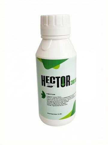 Гектор Hector