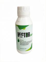 Гектор Hector