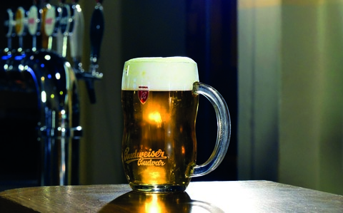 Budweiser Budvar Бар