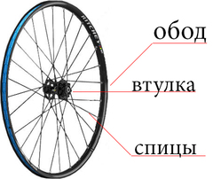 Разбор колеса BMX 48 спиц в вело сервисе Разбор вело