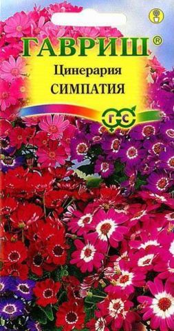 Семена Цинерария комнатная Симпатия