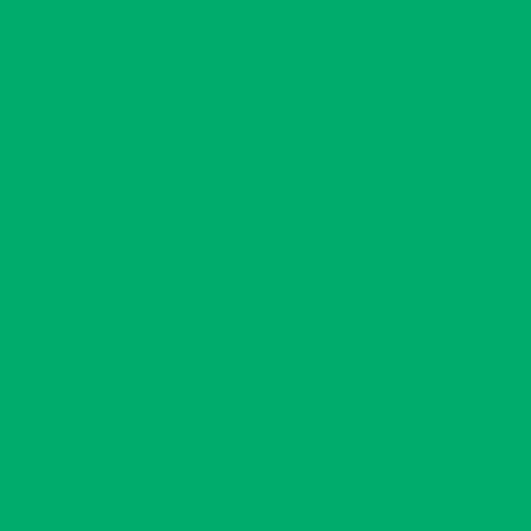 Карандаш механический Caran d'Ache Office 884 Infinite Veronese Green, 0,7 mm (884.201)