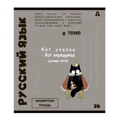 
          Тетрадь предметная 36л. А5 "Русский язык", линия, со справочным материалом, скрепка, мелованный картон (стандарт), блок офсет, Alingar "Тема"