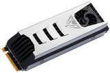 Накопитель SSD M.2 2280 Patriot Memory PV553P2TBM28H
