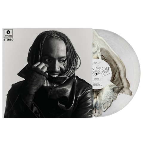 Виниловая пластинка Thundercat — Distracted (Clear & Black Marble Vinyl) (2 LP)