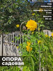 Товары для дома и сада