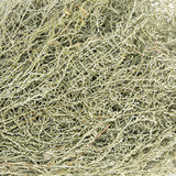 Полынь горная для бани - 3