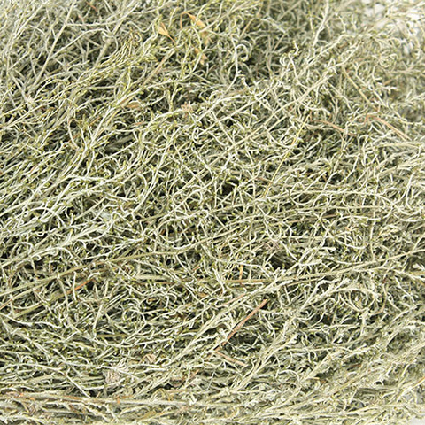 Полынь горная для бани - 4