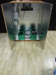 Growbox для экзотических растений