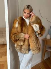 огненная лиса