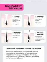 Markell PROFESSIONAL Сыворотка для роста бровей и ресниц 18+  10мл