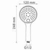 WasserKRAFT Sauer A207 Ручной душ, цвет: золото