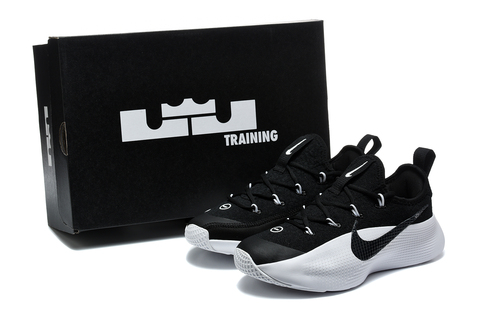 Nike LeBron TR 1 'White/Black' 