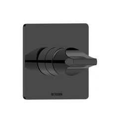 Bossini Apice Z00504.073 Смеситель для душа встраиваемый, на  1 выход (внешняя часть), цвет черный матовый фото