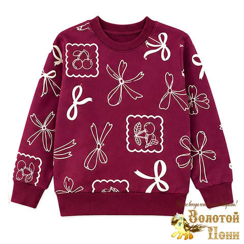 Свитшот хлопок д (3-7) 260916-BK1859T.5