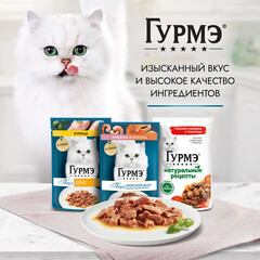 Gourmet Перл консервы для взрослых кошек с утка в соусе 75 г