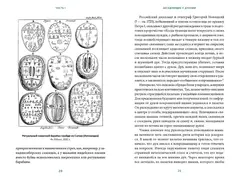 История гаданий и предсказаний