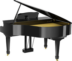 Roland GP609