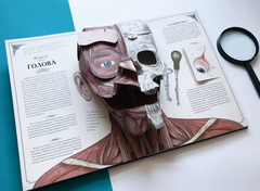 Тело человека. Интерактивная книга-панорама