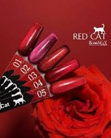 BlooMaX  RED CAT 04