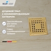 RGW 60210110-06 Душевой лоток Drain Leo-01-10 квадрат 100*100 Золото браш ? 50 мм