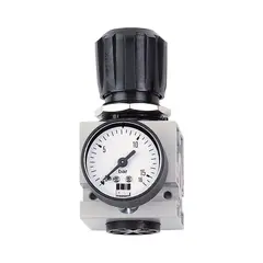Регулятор давления с манометром DM 1/2 W Schneider airsystems D402002
