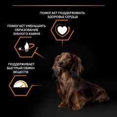 Pro Plan сухой корм для взрослых собак мелких и миниатюрных пород (курица, рис) 3 кг