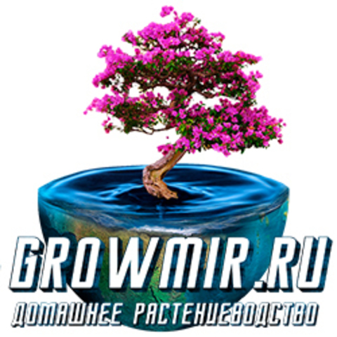 Комплектации гроубоксов под ключ