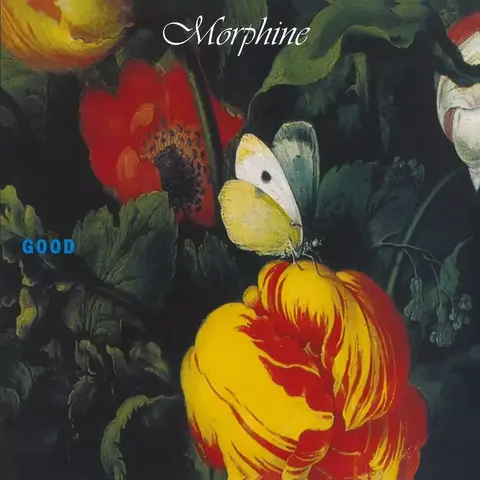 Виниловая пластинка. Morphine – Good